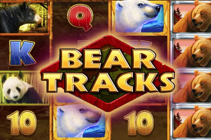 Win big with Special Events and Seasonal Casino Promotions.
